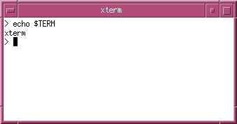 xterm